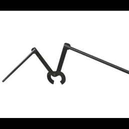 rail lifting tongs